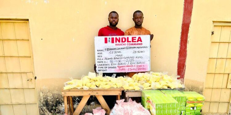 NDLEA
